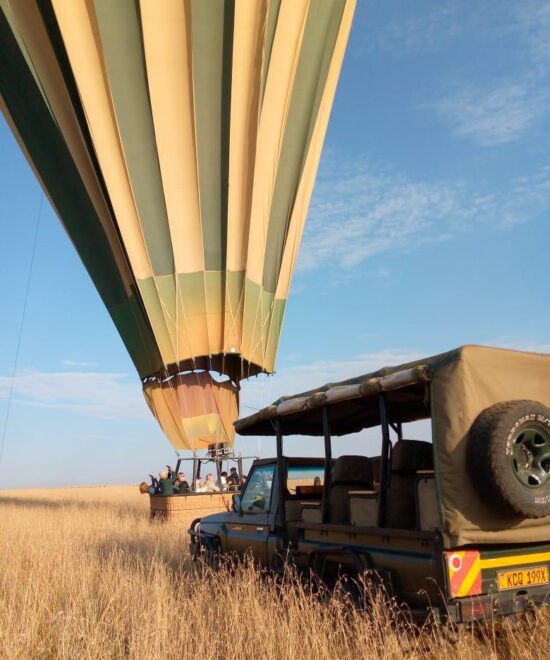 Balloon Safari in Maasai Mara