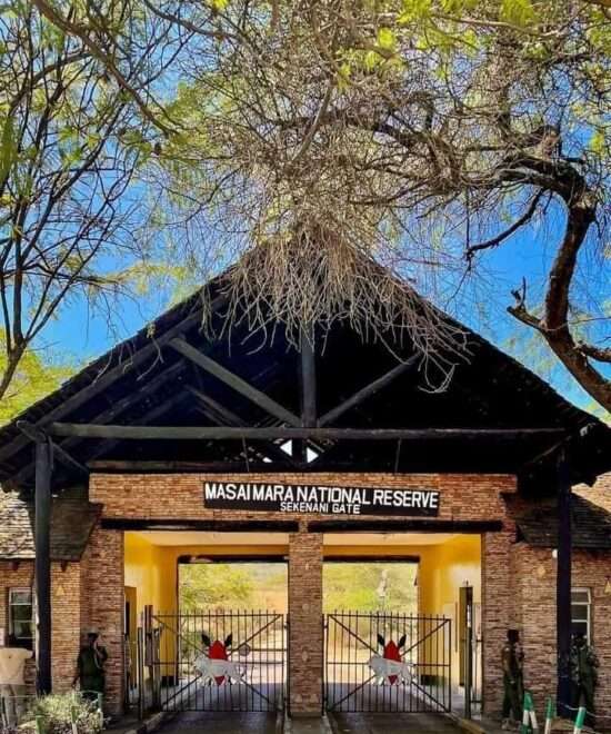 Maasai Mara National Reserve Fees 2024-2025